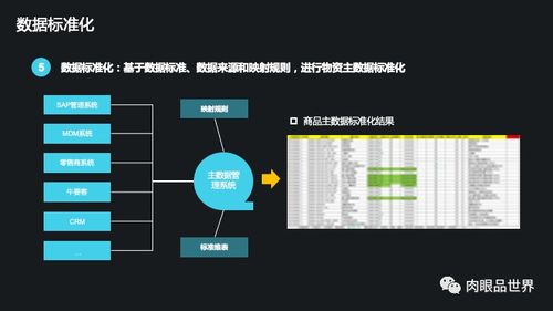 集團數據管控與數據治理解決方案 數據處理服務的核心價值與實施路徑